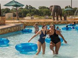 5 consejos para aprovechar al máximo sus vacaciones en familia este verano